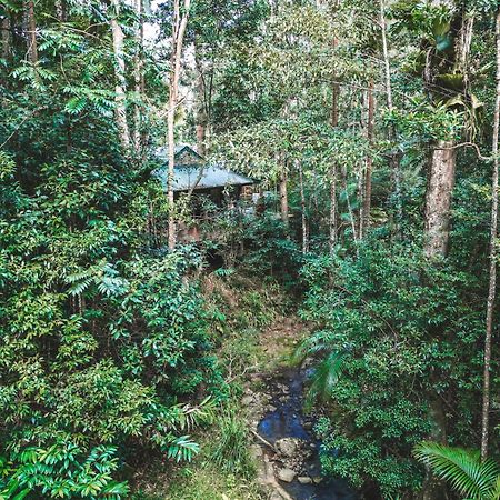 Narrows Escape Rainforest Retreat Montville Bagian luar foto