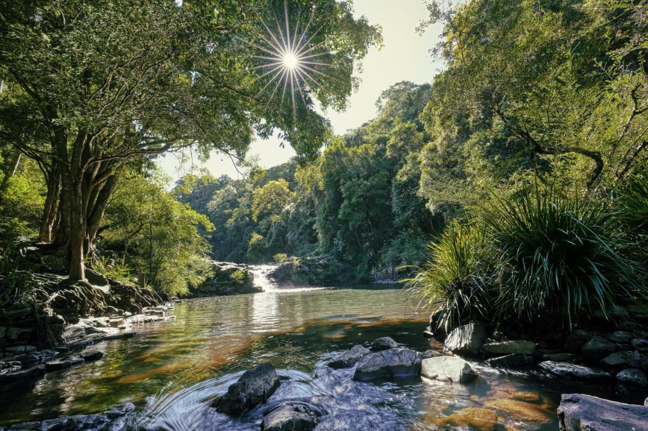 Narrows Escape Rainforest Retreat Montville Bagian luar foto