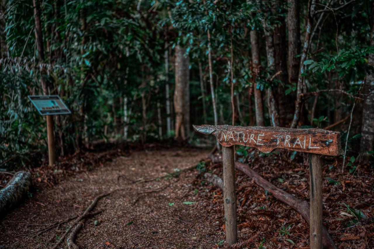 Narrows Escape Rainforest Retreat Montville Bagian luar foto