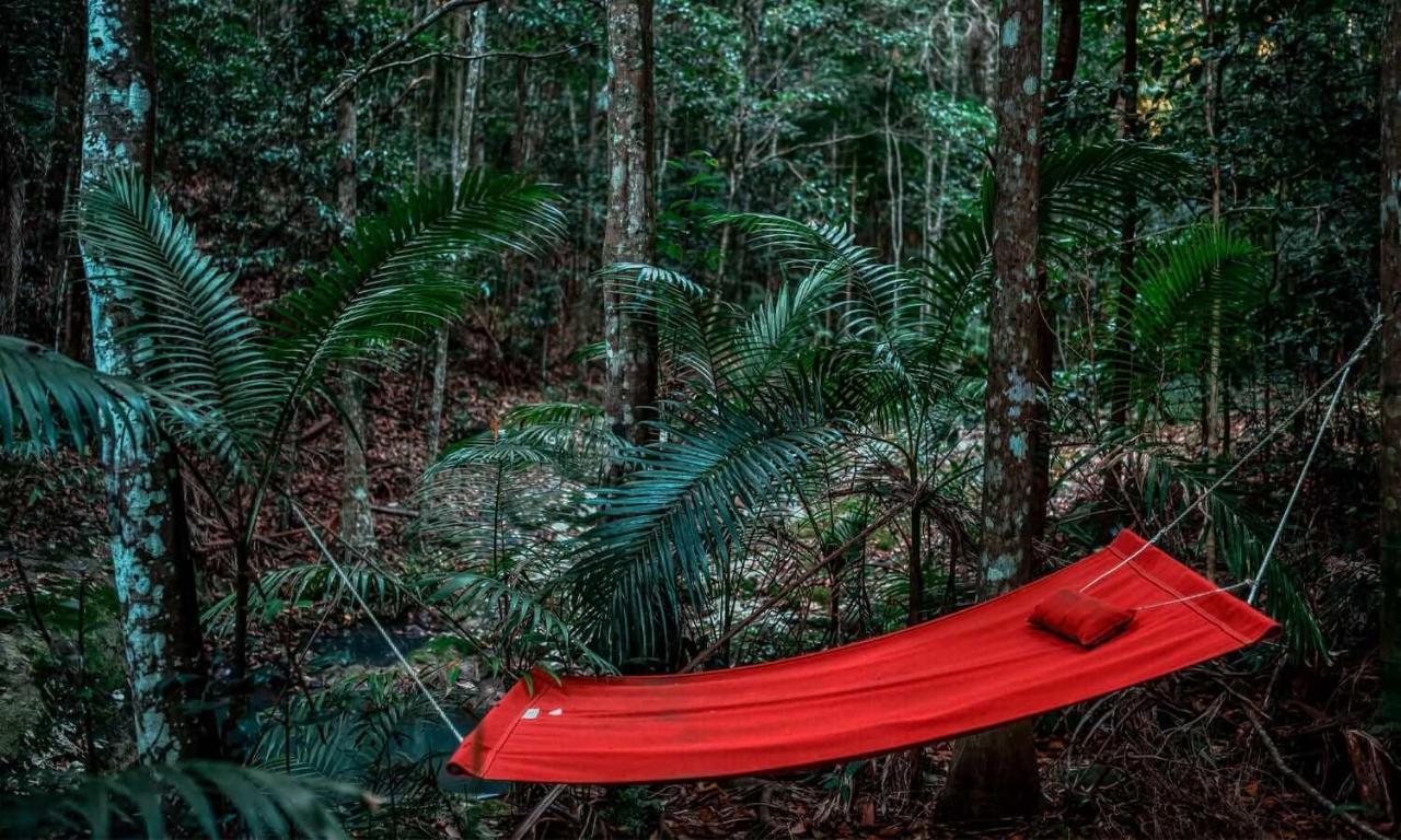 Narrows Escape Rainforest Retreat Montville Bagian luar foto
