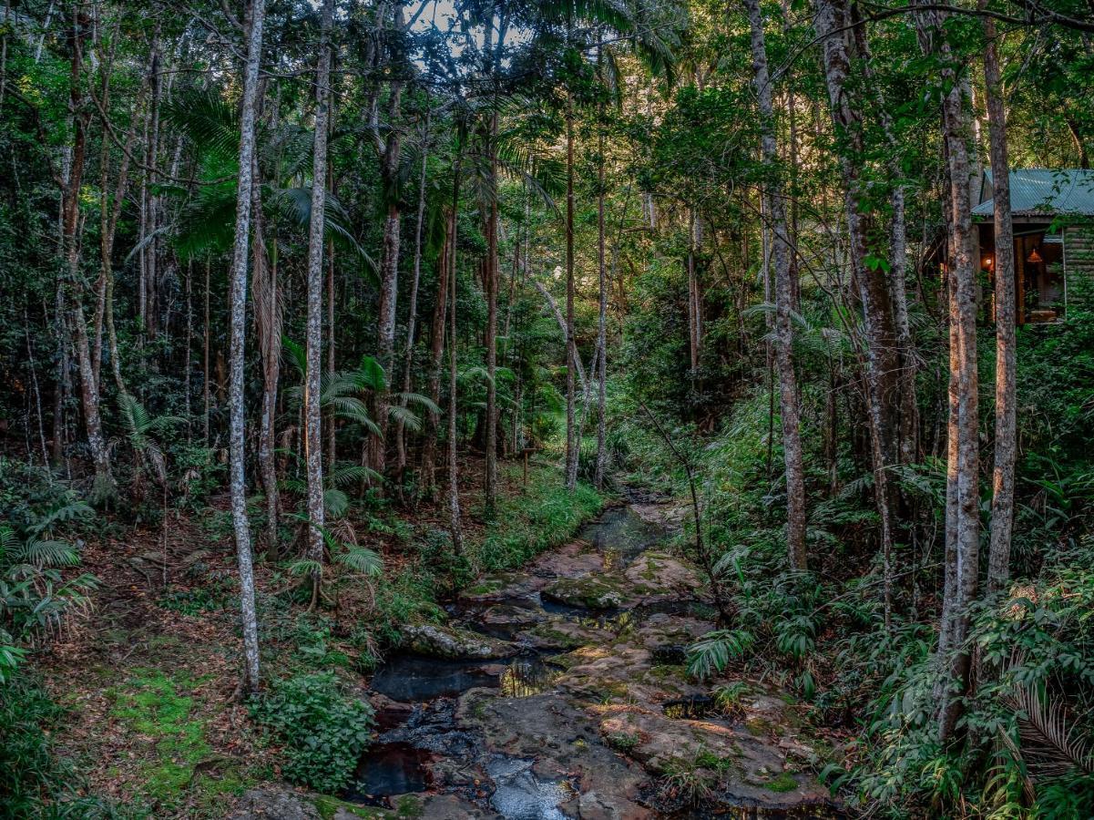 Narrows Escape Rainforest Retreat Montville Bagian luar foto