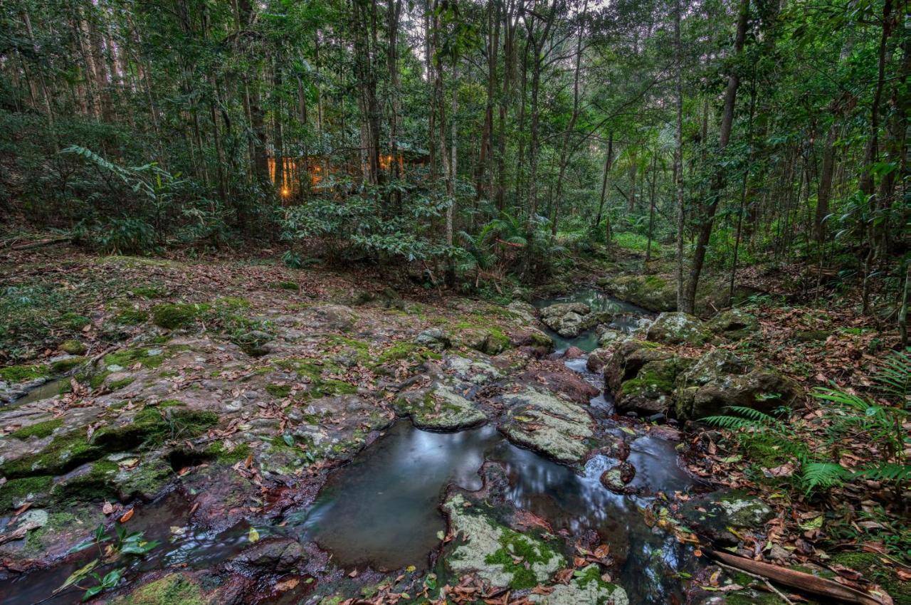 Narrows Escape Rainforest Retreat Montville Bagian luar foto
