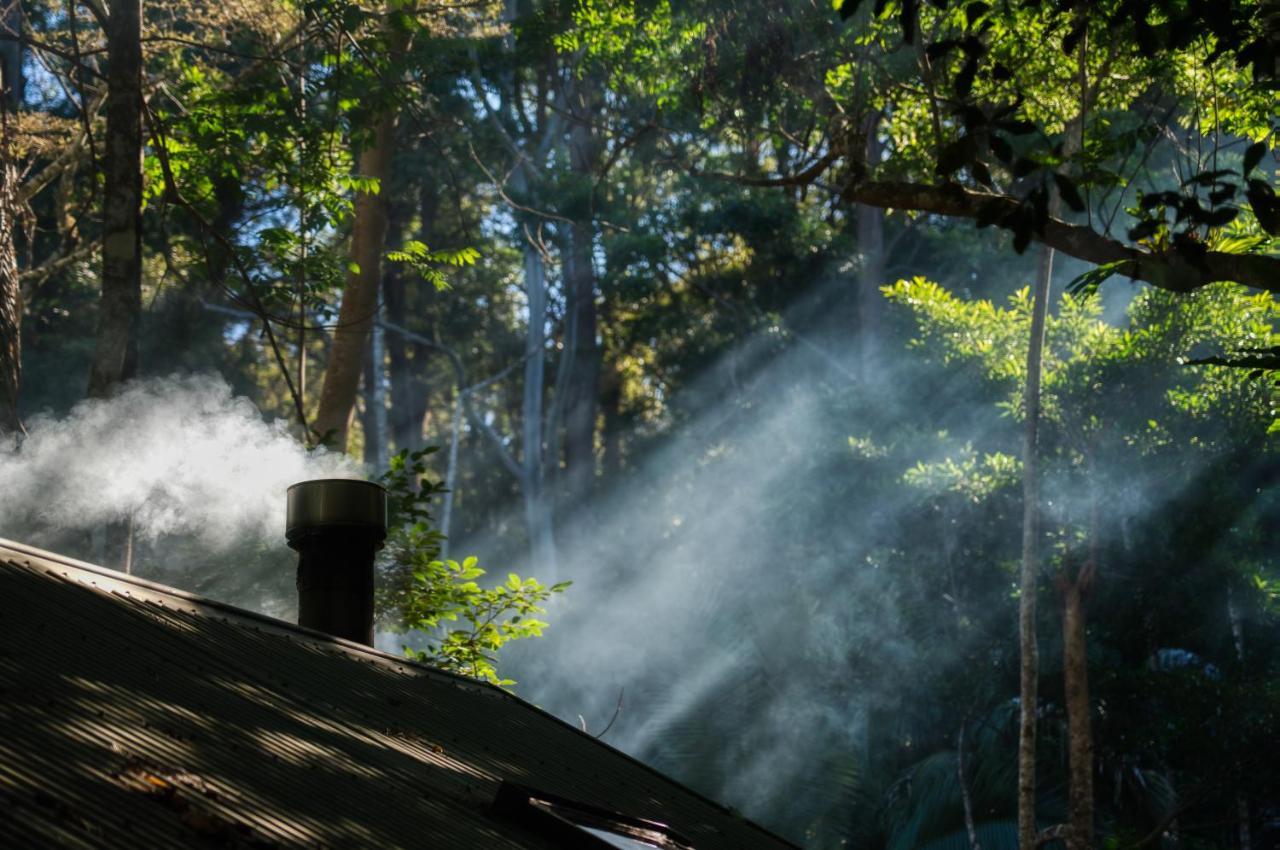 Narrows Escape Rainforest Retreat Montville Bagian luar foto