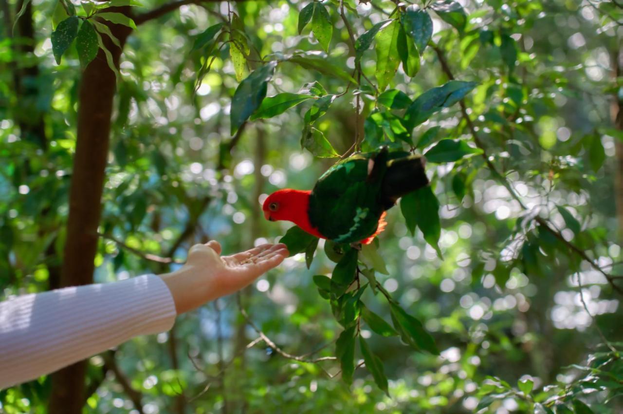 Narrows Escape Rainforest Retreat Montville Bagian luar foto