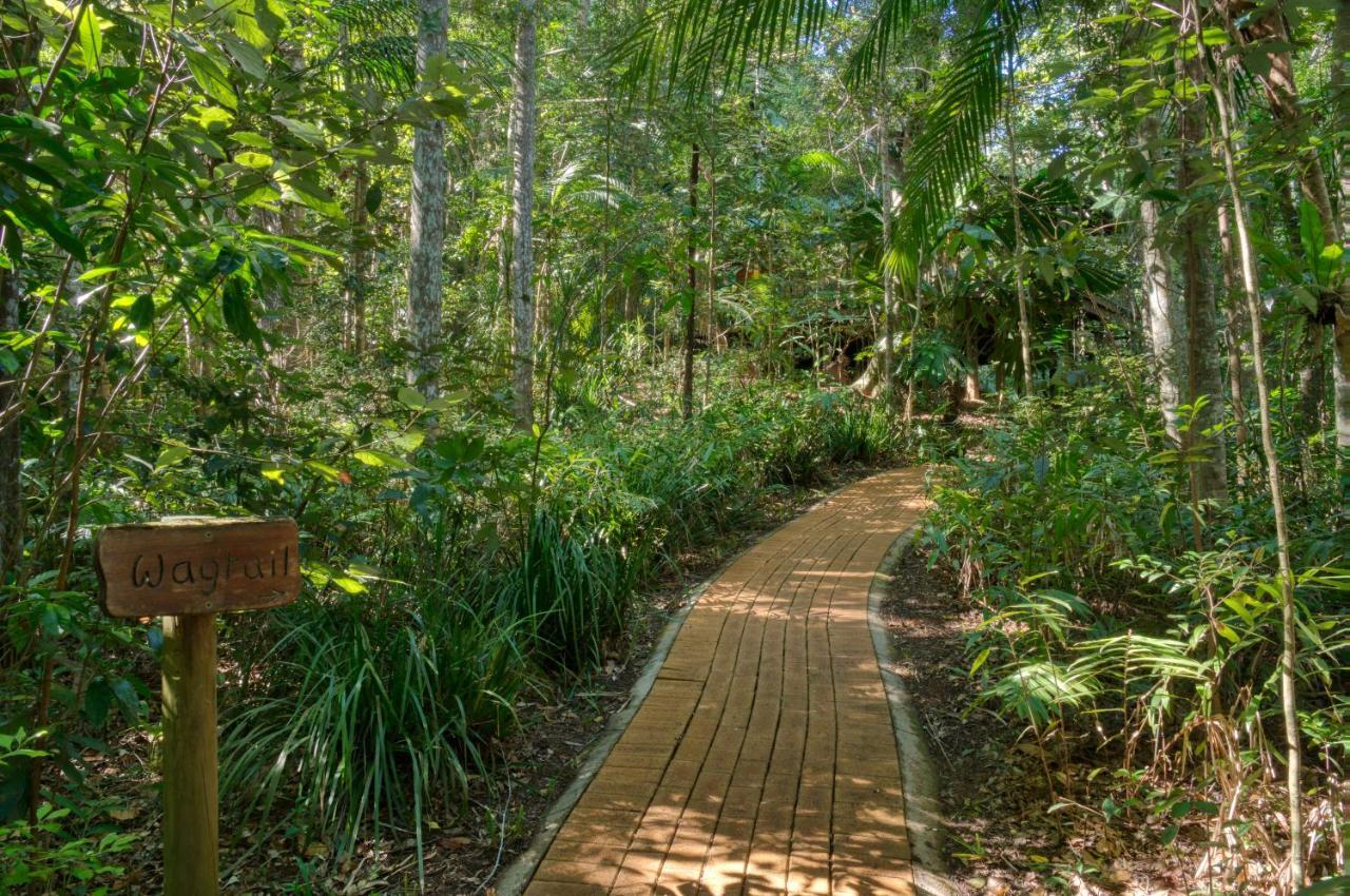 Narrows Escape Rainforest Retreat Montville Bagian luar foto