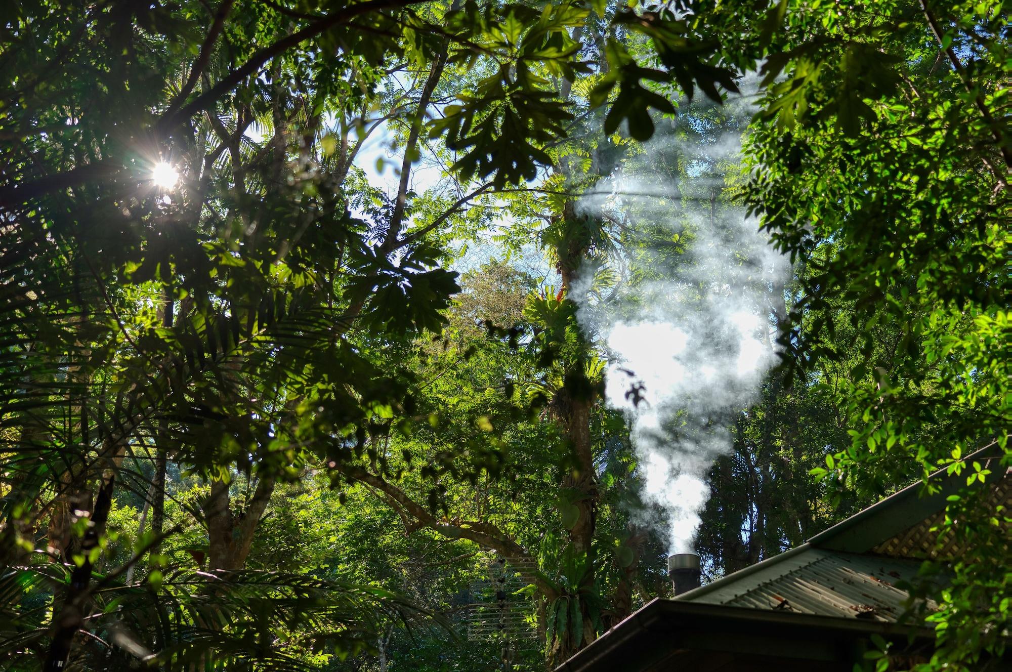 Narrows Escape Rainforest Retreat Montville Bagian luar foto