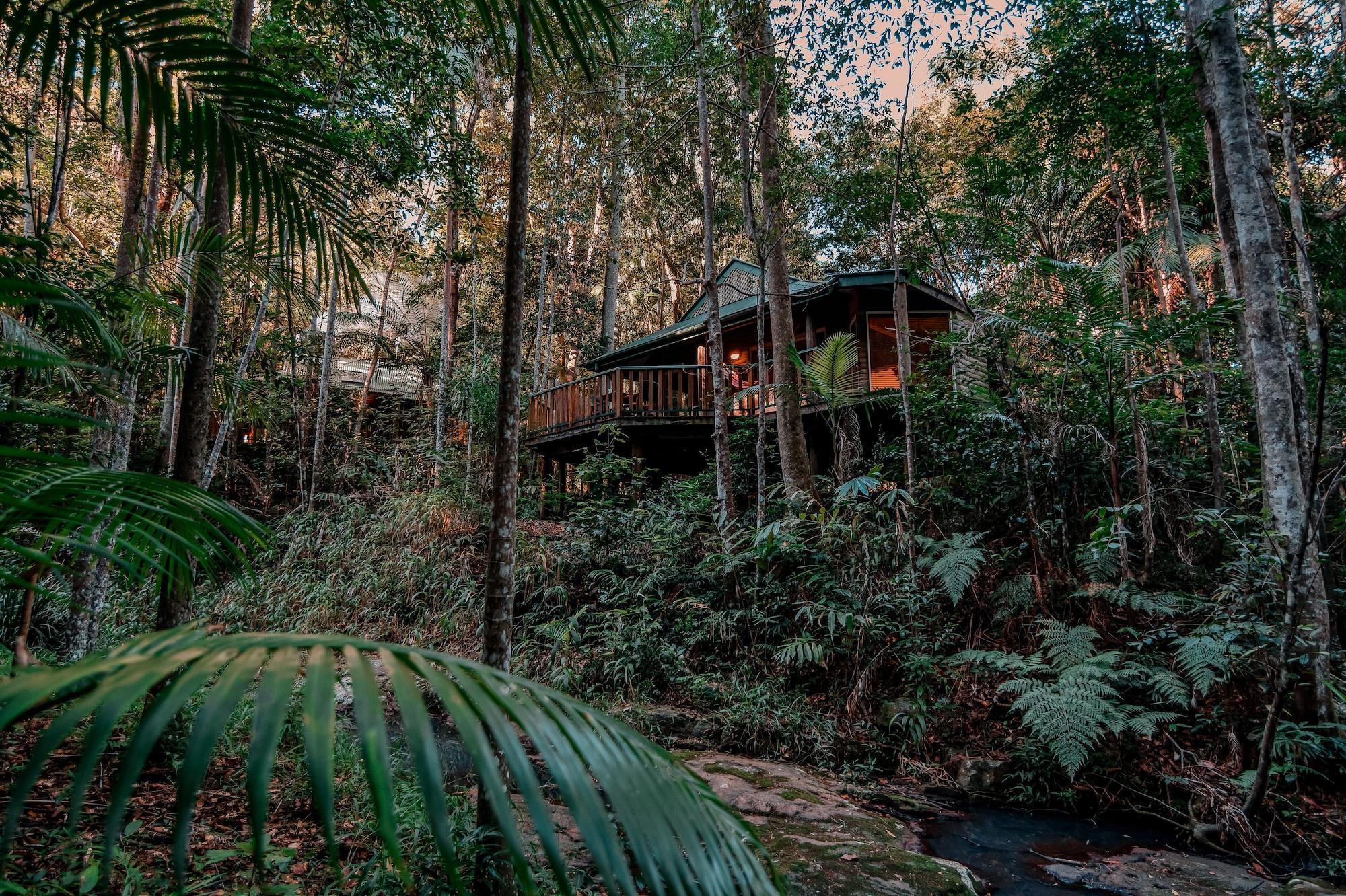 Narrows Escape Rainforest Retreat Montville Bagian luar foto