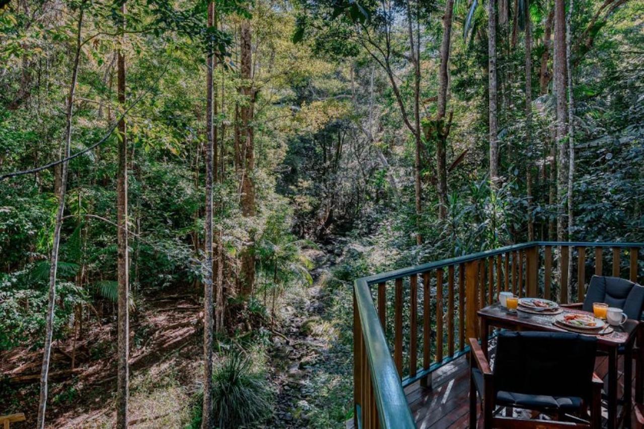 Narrows Escape Rainforest Retreat Montville Bagian luar foto
