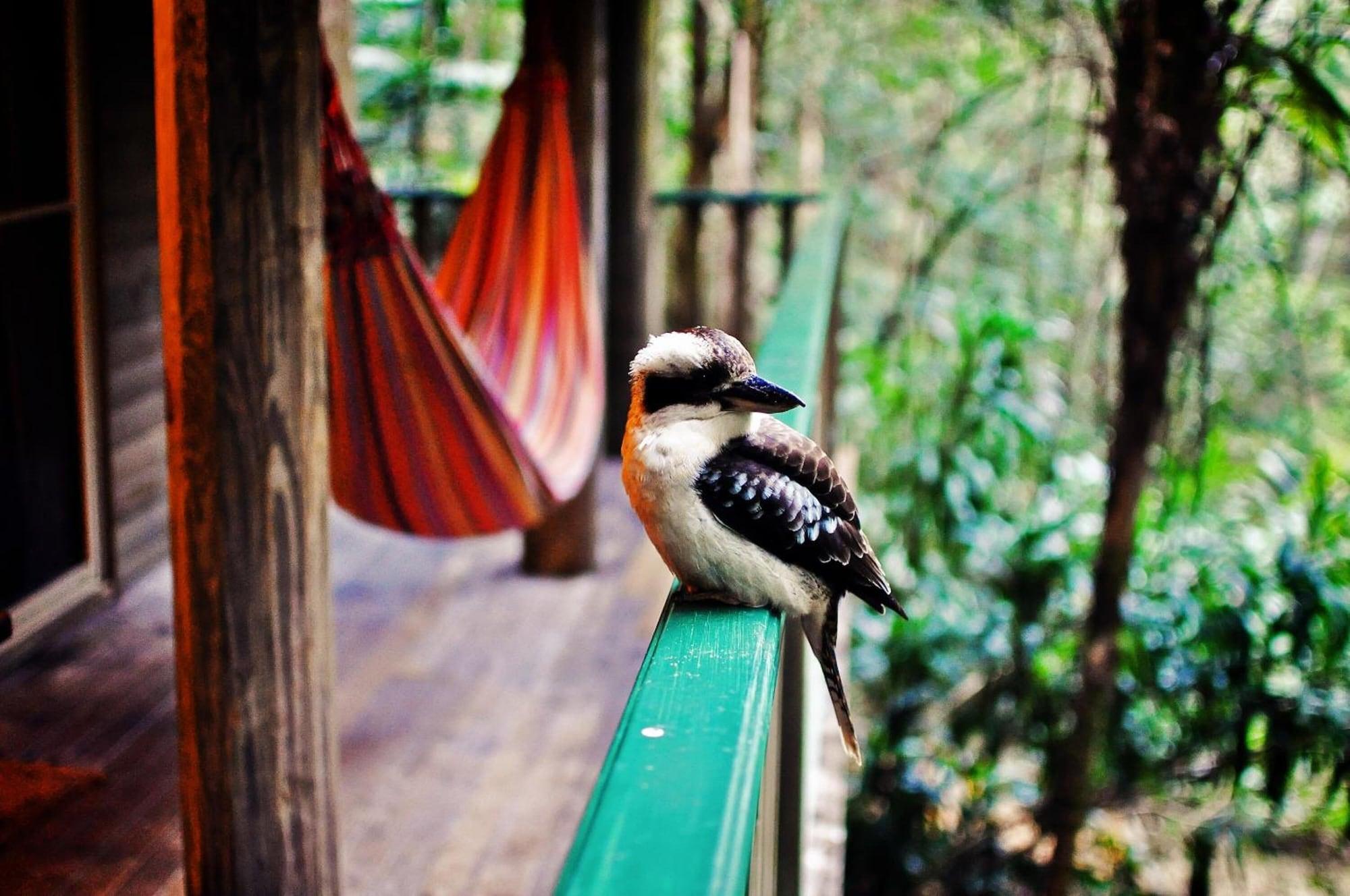Narrows Escape Rainforest Retreat Montville Bagian luar foto