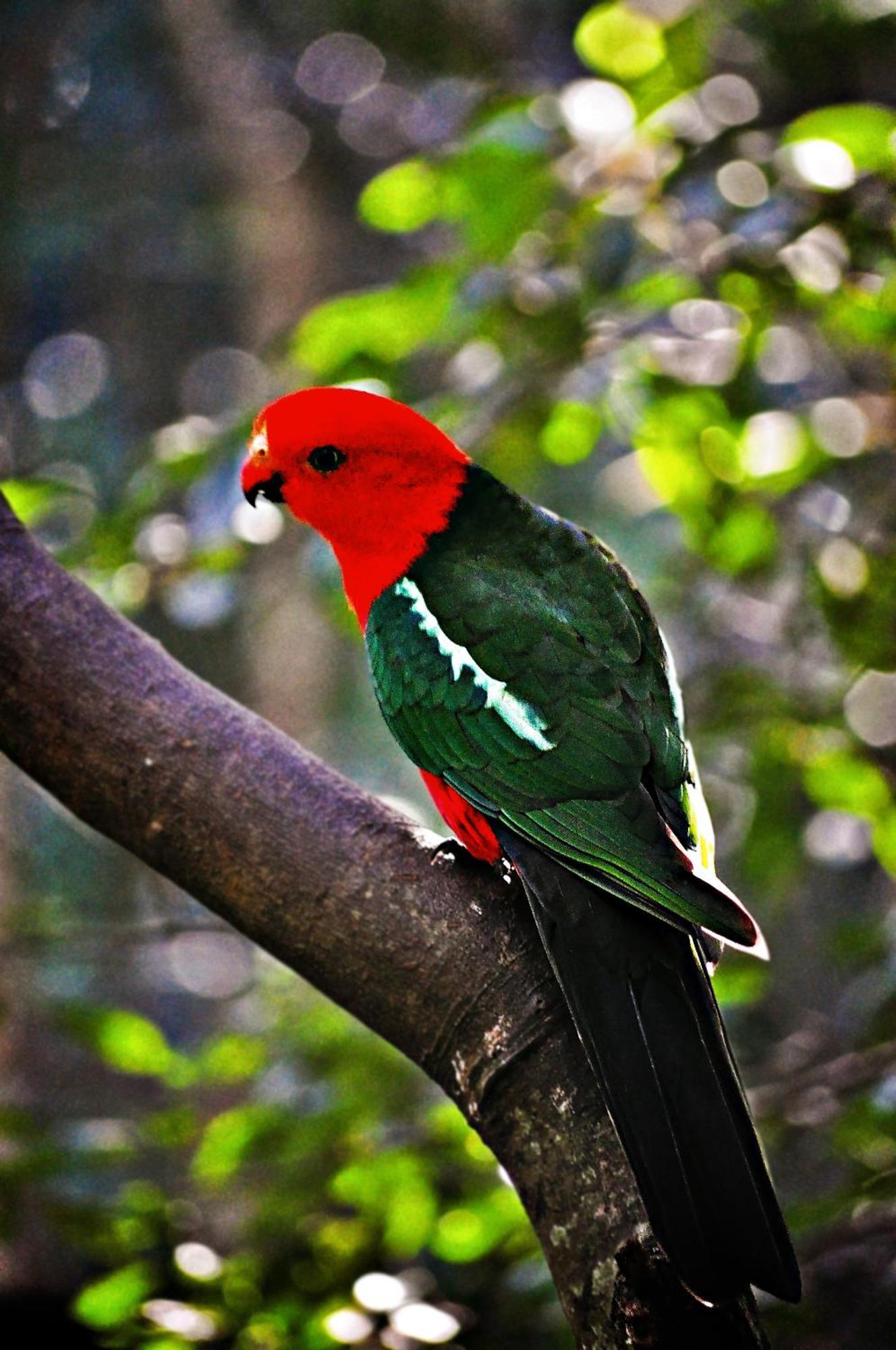 Narrows Escape Rainforest Retreat Montville Bagian luar foto