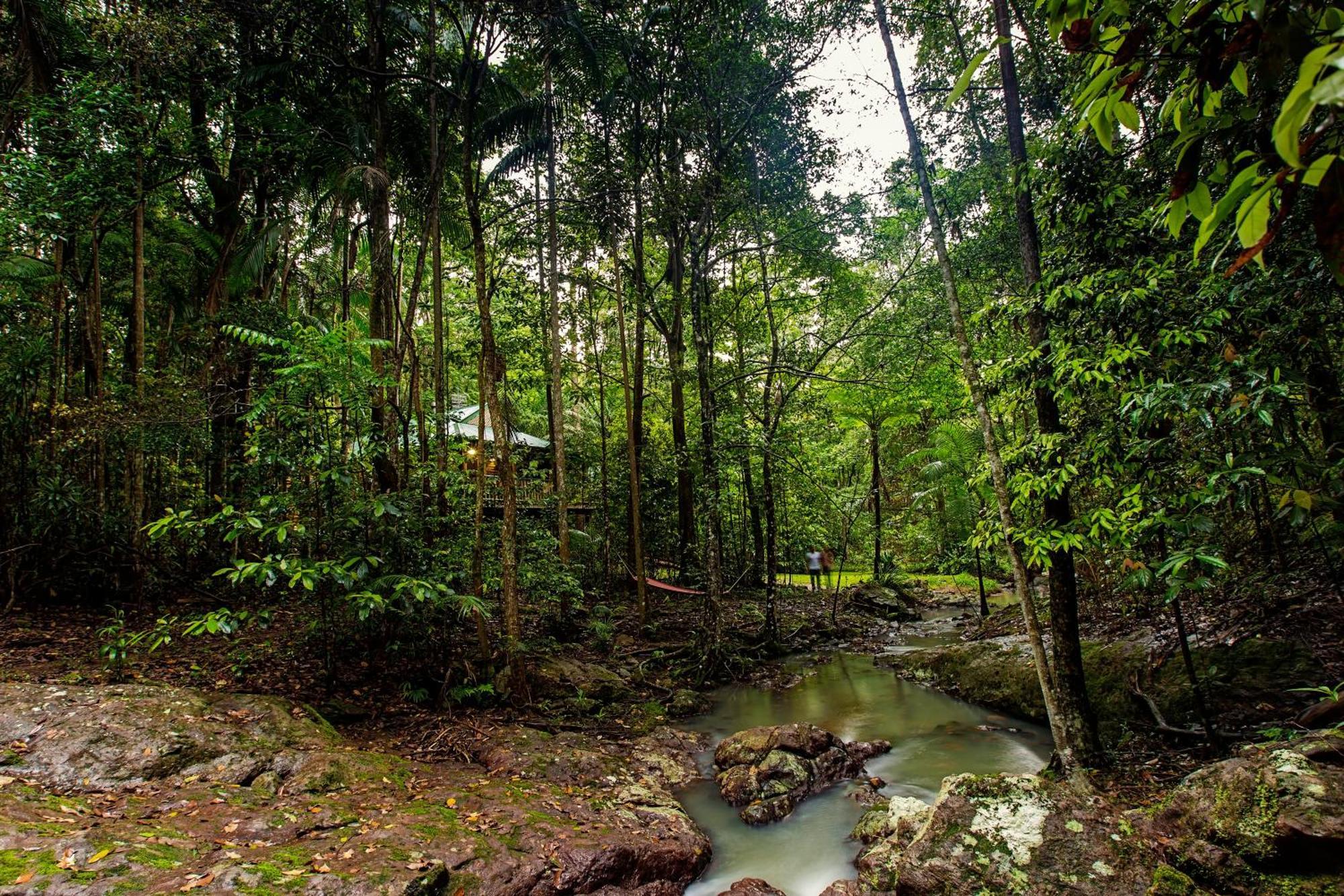 Narrows Escape Rainforest Retreat Montville Bagian luar foto