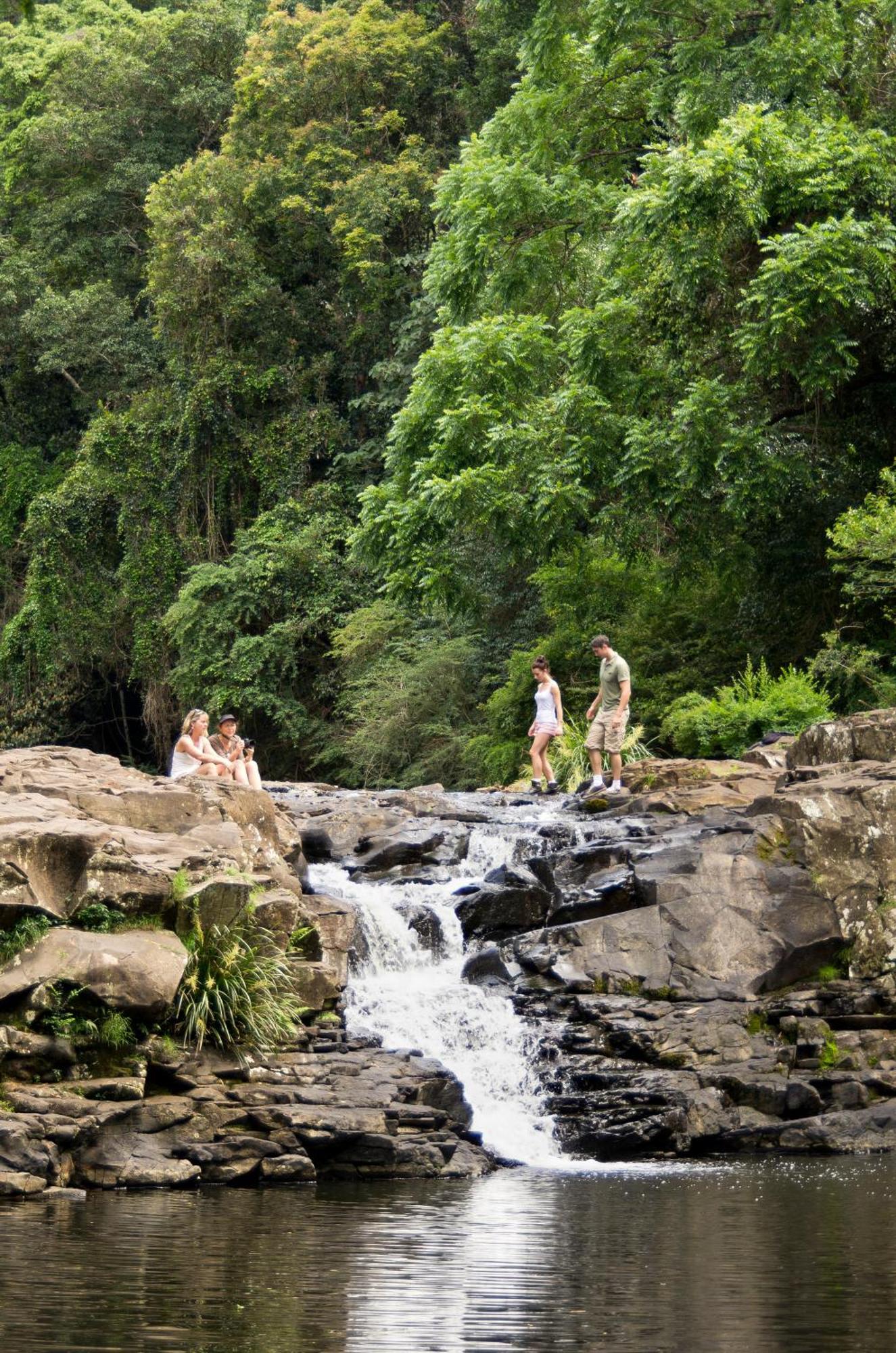 Narrows Escape Rainforest Retreat Montville Bagian luar foto