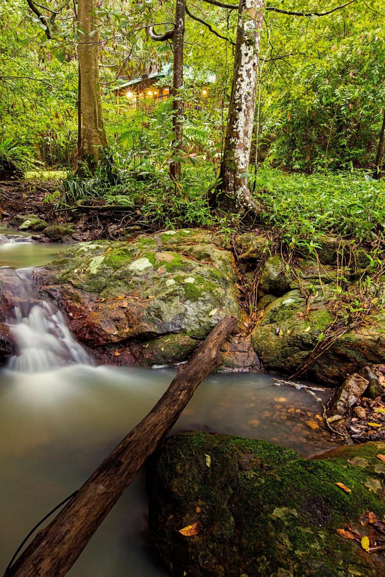 Narrows Escape Rainforest Retreat Montville Bagian luar foto