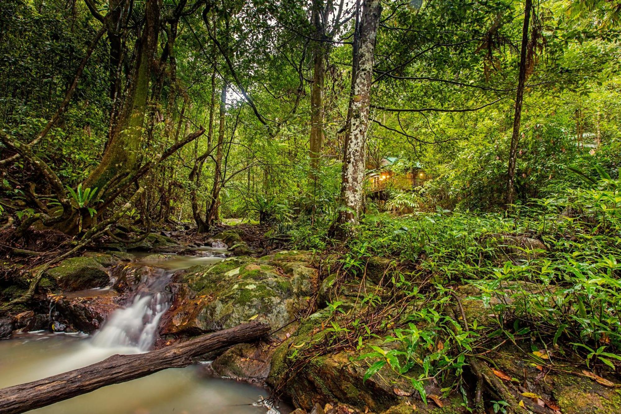 Narrows Escape Rainforest Retreat Montville Bagian luar foto