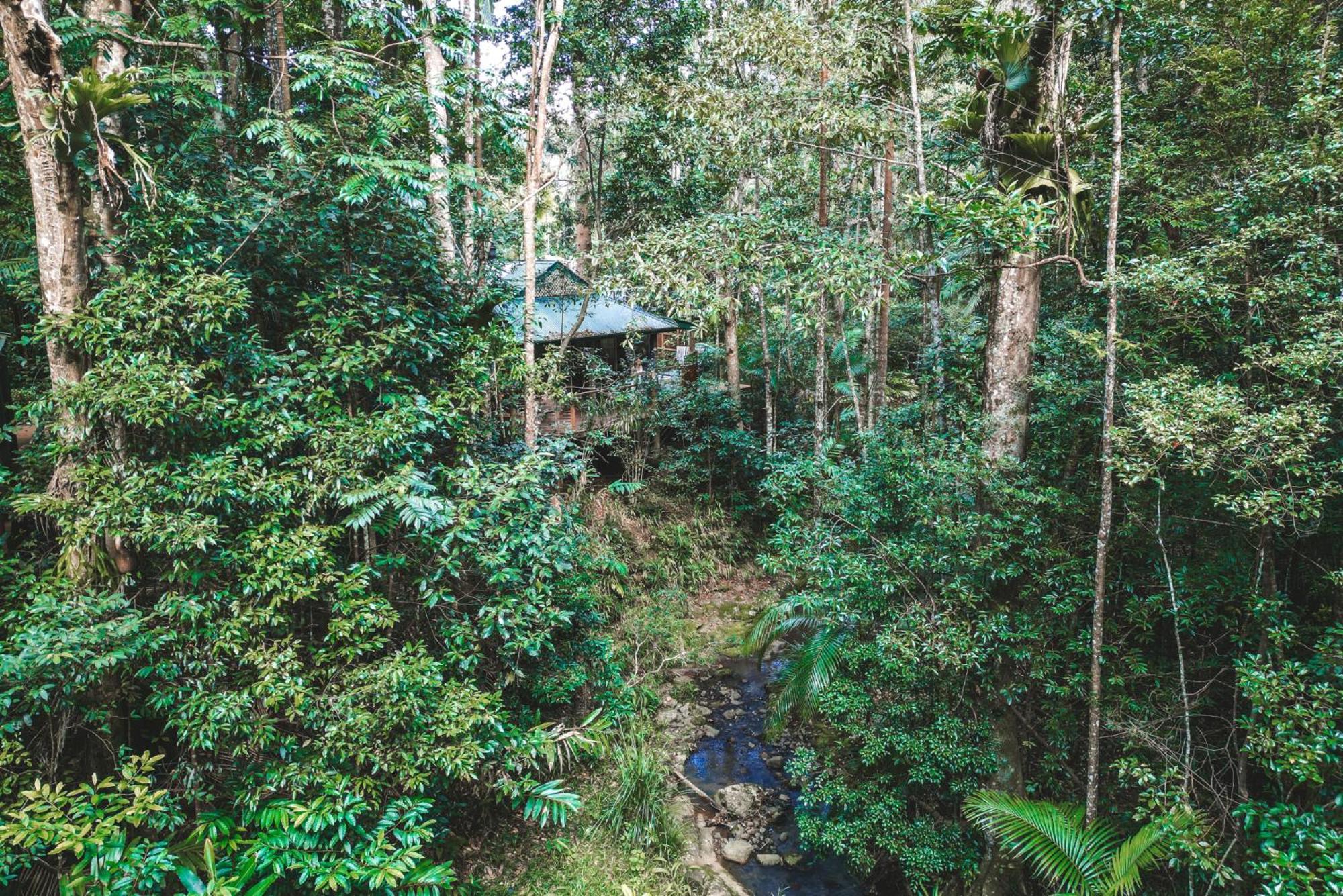 Narrows Escape Rainforest Retreat Montville Bagian luar foto