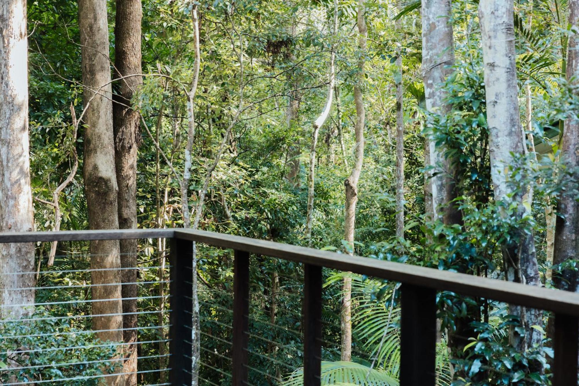 Narrows Escape Rainforest Retreat Montville Bagian luar foto