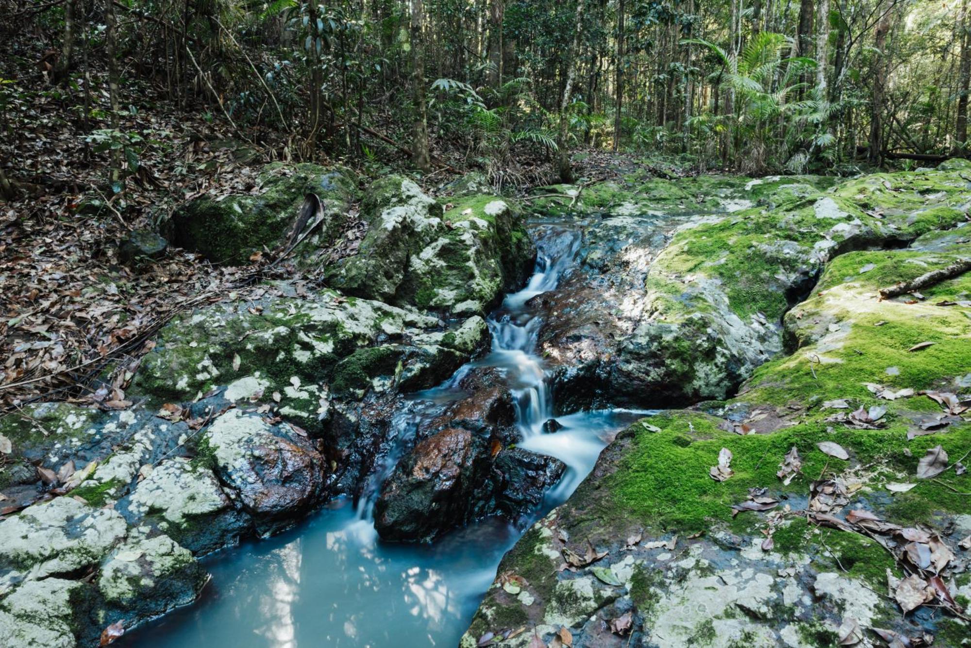 Narrows Escape Rainforest Retreat Montville Bagian luar foto