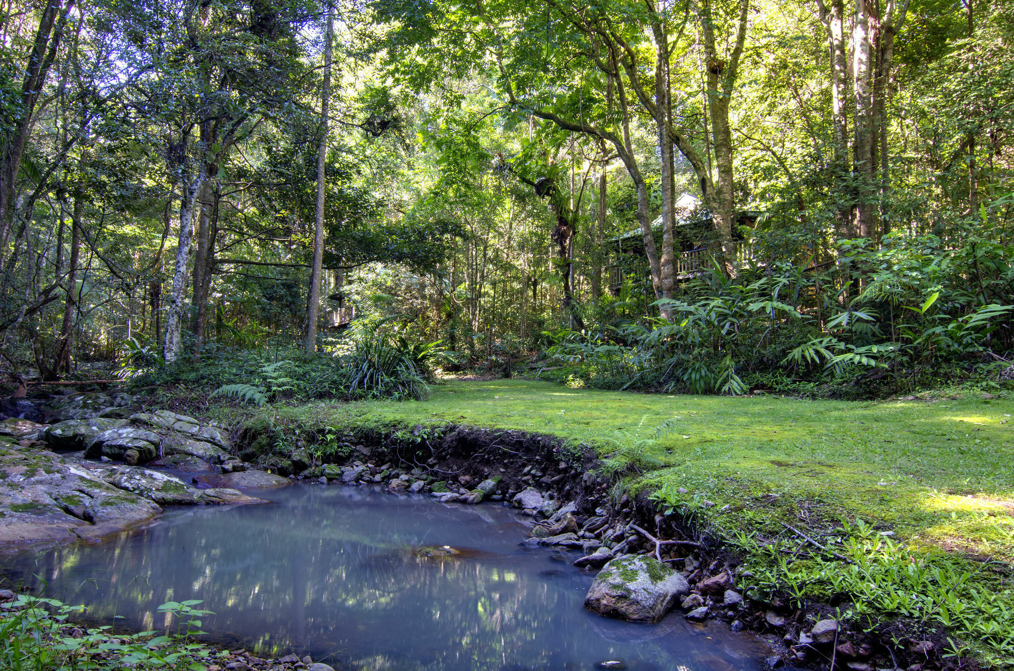 Narrows Escape Rainforest Retreat Montville Bagian luar foto
